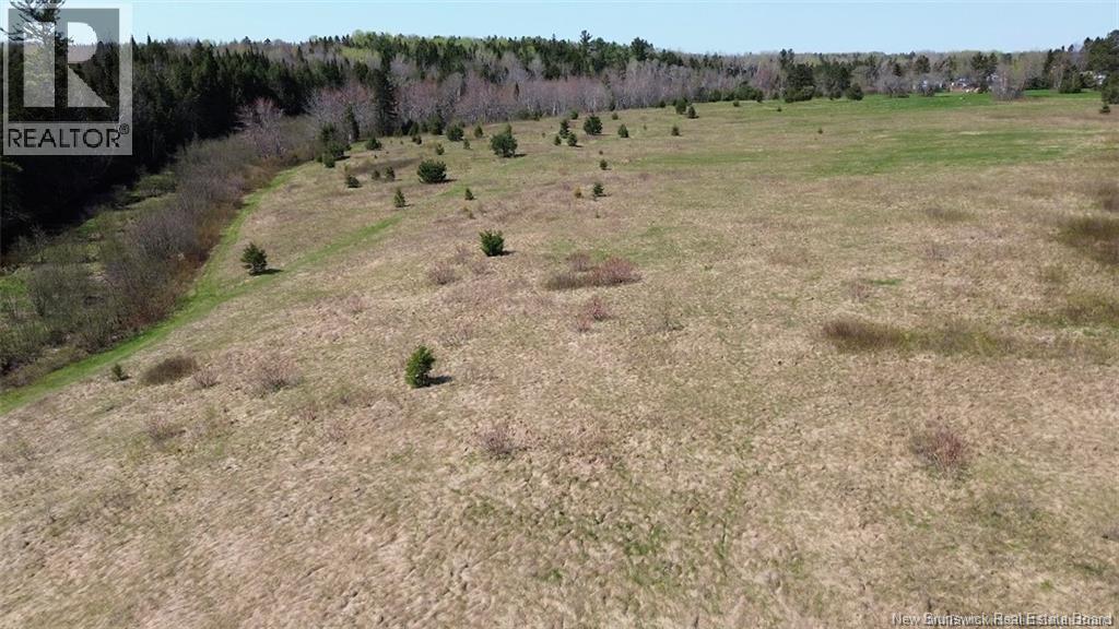 Na Route 10, Salmon Creek, New Brunswick  E4A 1E4 - Photo 10 - NB137646
