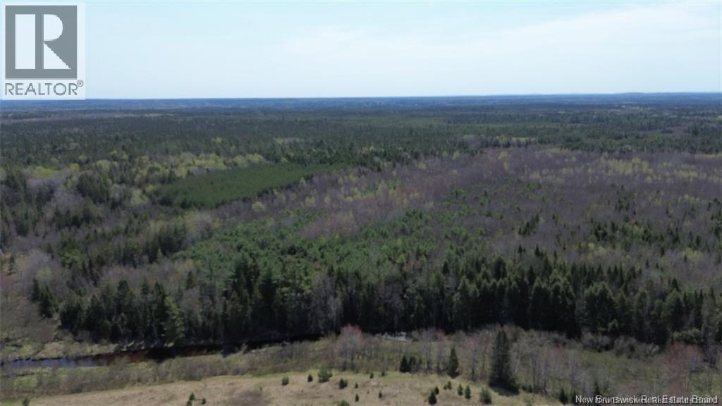 Na Route 10, Salmon Creek, New Brunswick  E4A 1E4 - Photo 11 - NB137646