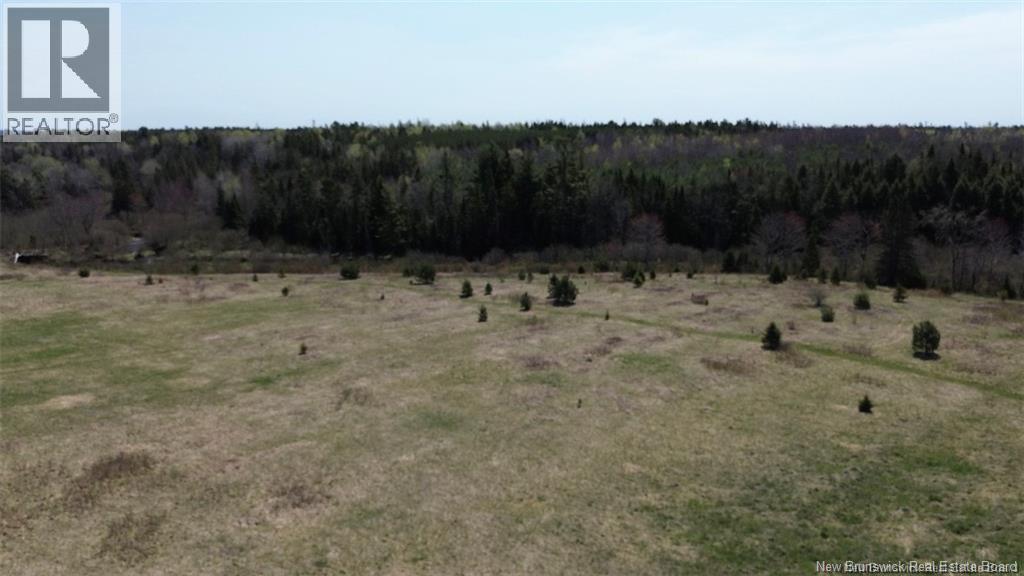 Na Route 10, Salmon Creek, New Brunswick  E4A 1E4 - Photo 12 - NB137646
