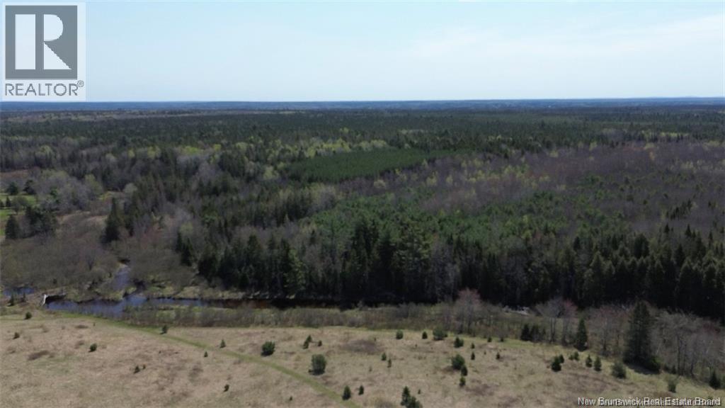 Na Route 10, Salmon Creek, New Brunswick  E4A 1E4 - Photo 13 - NB137646