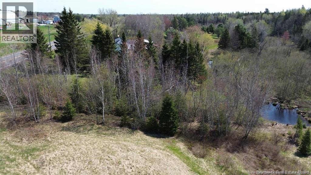 Na Route 10, Salmon Creek, New Brunswick  E4A 1E4 - Photo 14 - NB137646