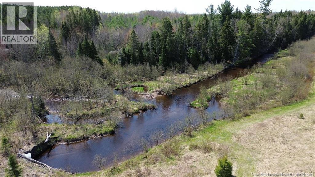 Na Route 10, Salmon Creek, New Brunswick  E4A 1E4 - Photo 15 - NB137646