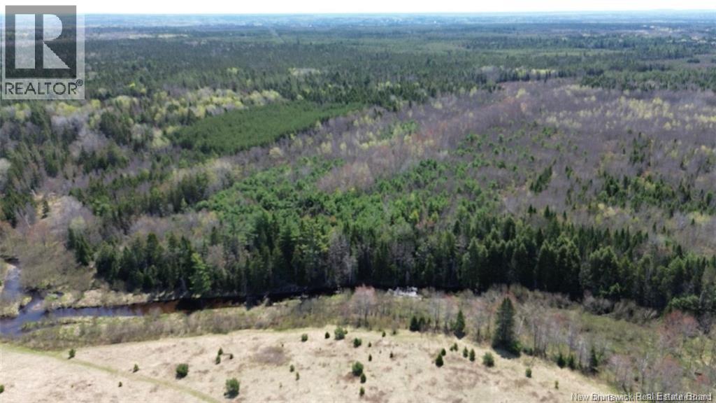 Na Route 10, Salmon Creek, New Brunswick  E4A 1E4 - Photo 17 - NB137646