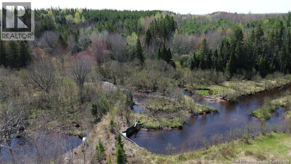 Na Route 10, Salmon Creek, New Brunswick  E4A 1E4 - Photo 18 - NB137646
