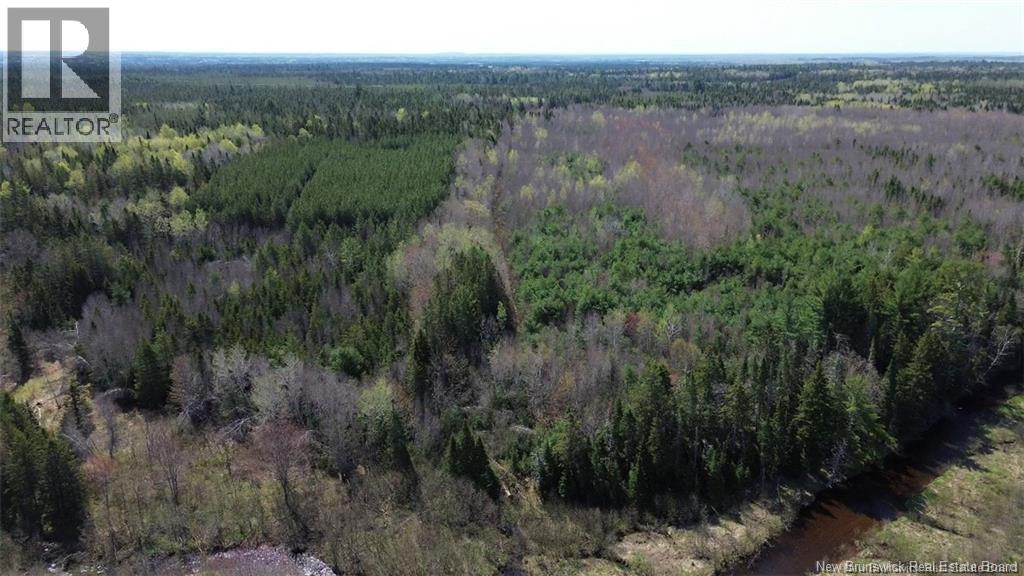 Na Route 10, Salmon Creek, New Brunswick  E4A 1E4 - Photo 19 - NB137646