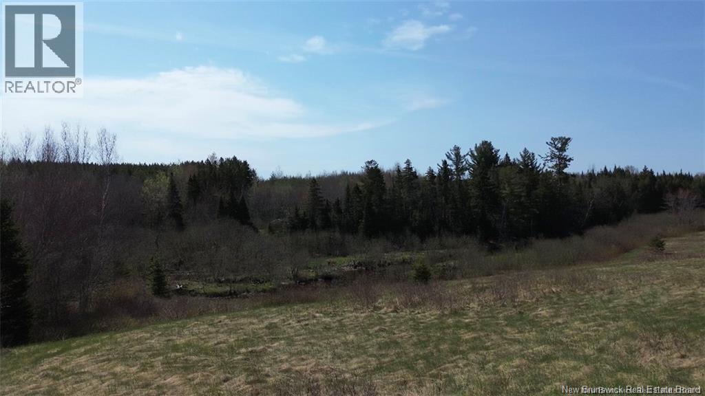 Na Route 10, Salmon Creek, New Brunswick  E4A 1E4 - Photo 2 - NB137646