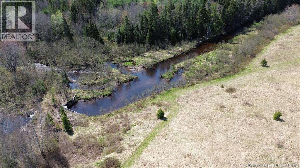 Na Route 10, Salmon Creek, New Brunswick  E4A 1E4 - Photo 3 - NB137646