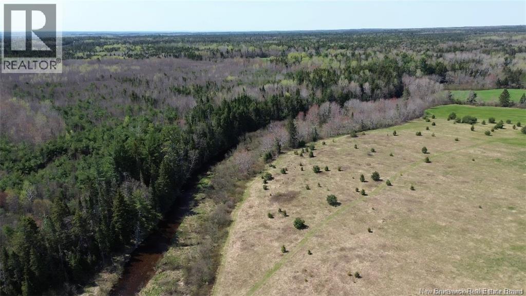 Na Route 10, Salmon Creek, New Brunswick  E4A 1E4 - Photo 4 - NB137646