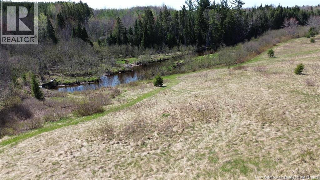 Na Route 10, Salmon Creek, New Brunswick  E4A 1E4 - Photo 5 - NB137646