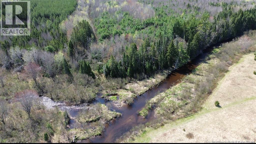 Na Route 10, Salmon Creek, New Brunswick  E4A 1E4 - Photo 6 - NB137646