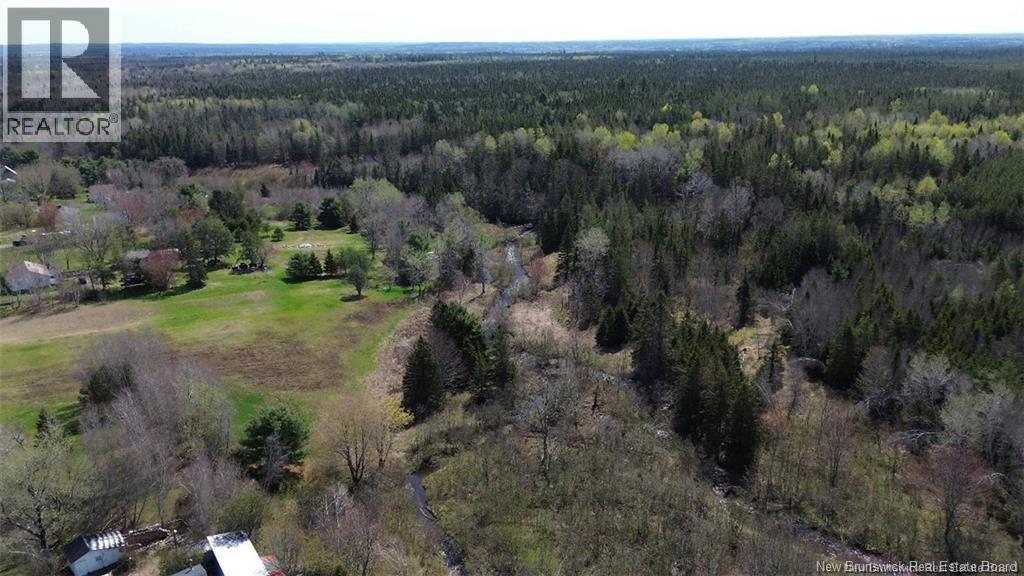 Na Route 10, Salmon Creek, New Brunswick  E4A 1E4 - Photo 8 - NB137646