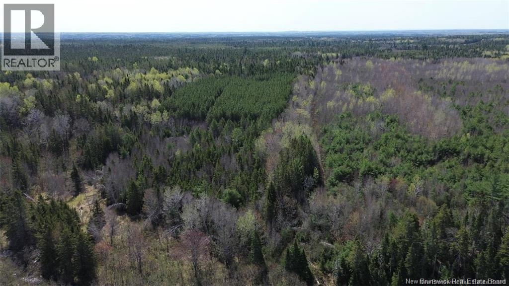 Na Route 10, Salmon Creek, New Brunswick  E4A 1E4 - Photo 9 - NB137646