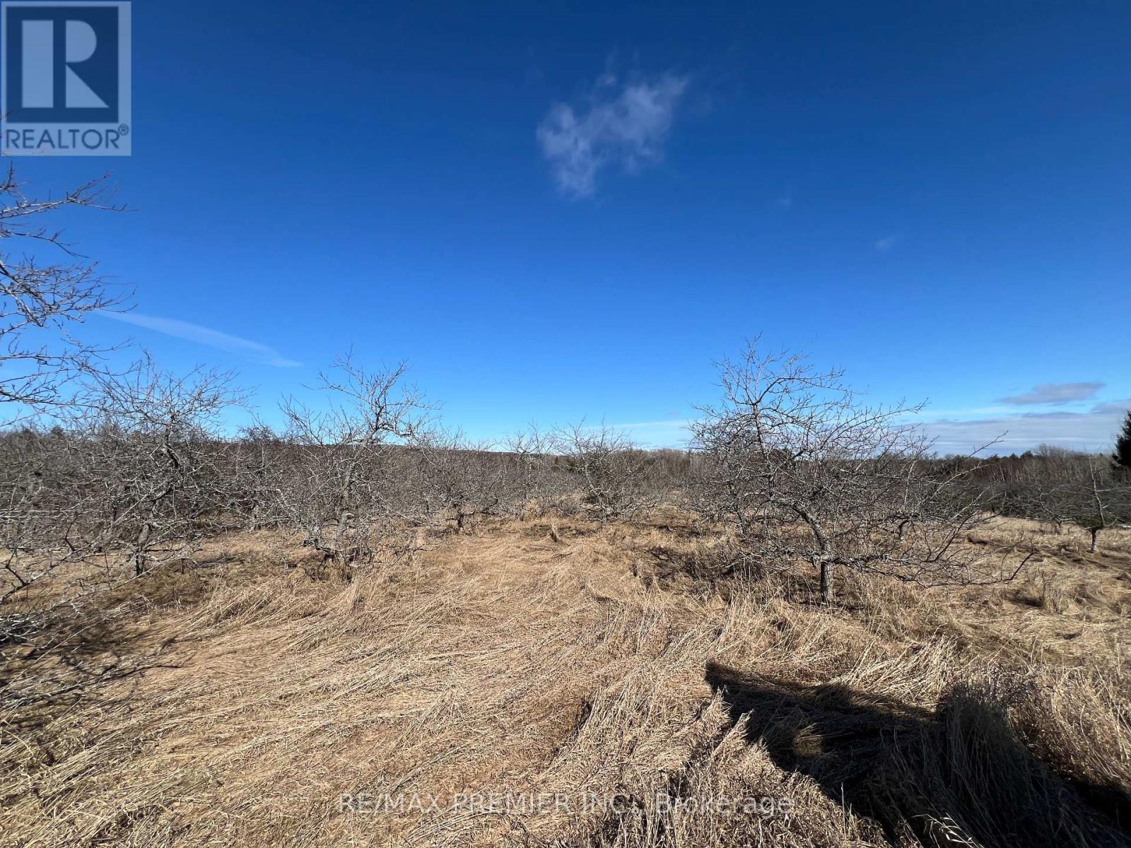 273 Peters Road, Cramahe, Ontario  K0K 1S0 - Photo 26 - X13024790