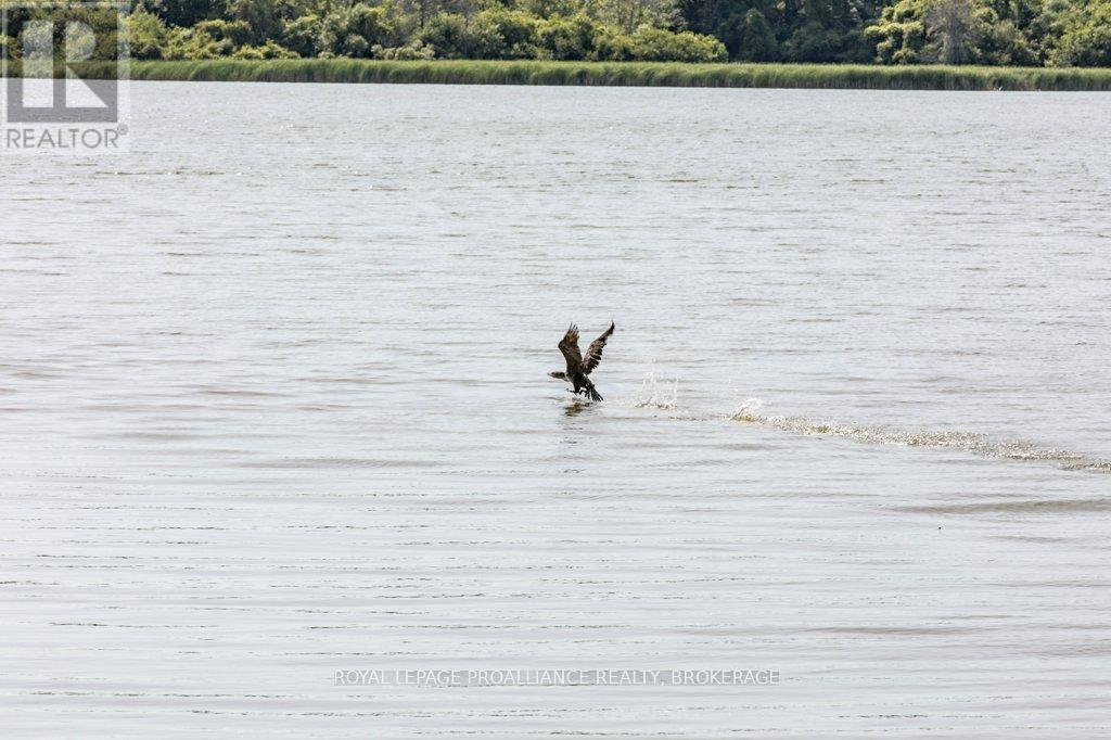 1558 Highway 96, Frontenac Islands, Ontario  K0H 2Y0 - Photo 29 - X13025030