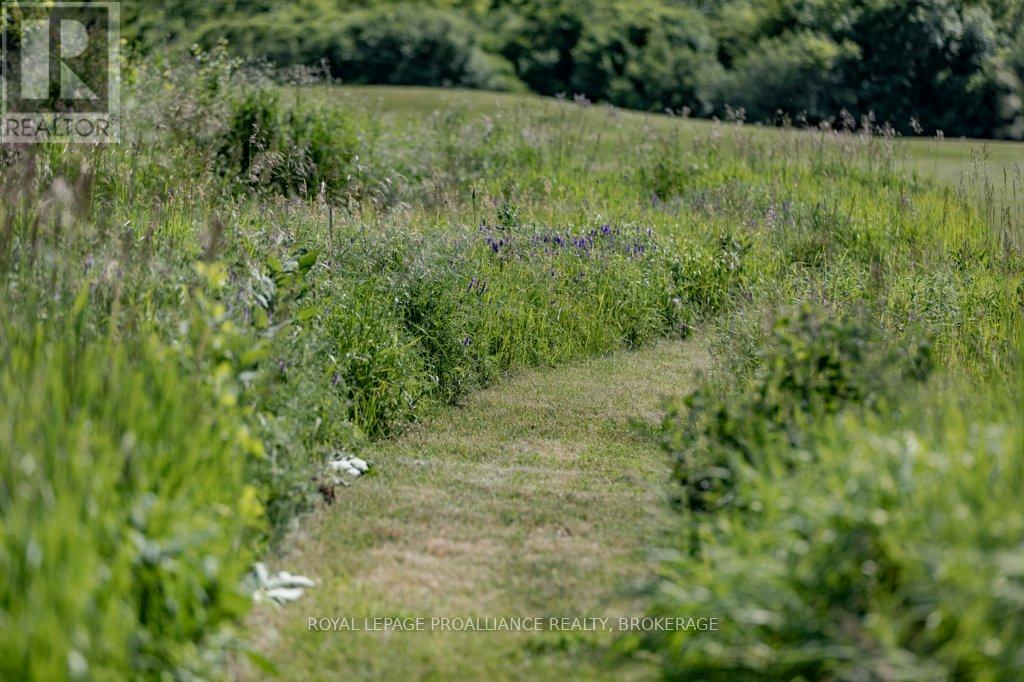 1558 Highway 96, Frontenac Islands, Ontario  K0H 2Y0 - Photo 31 - X13025030