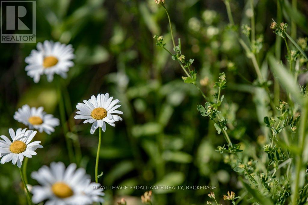 1558 Highway 96, Frontenac Islands, Ontario  K0H 2Y0 - Photo 32 - X13025030