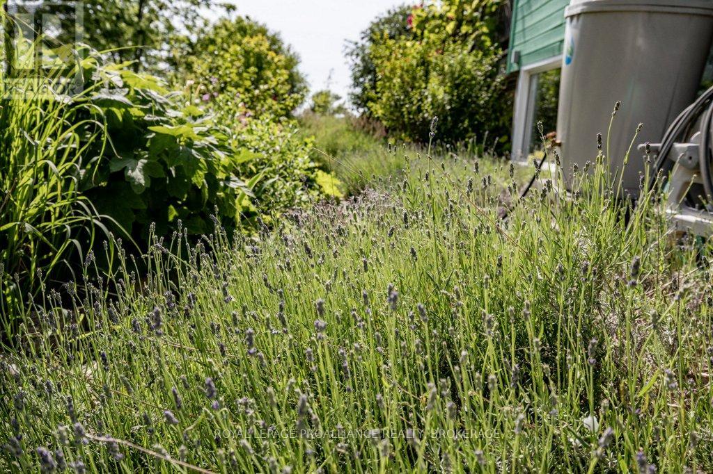 1558 Highway 96, Frontenac Islands, Ontario  K0H 2Y0 - Photo 36 - X13025030