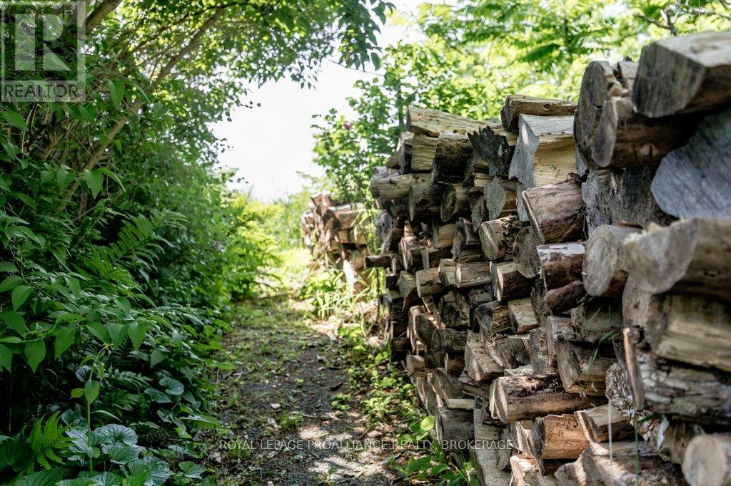 1558 Highway 96, Frontenac Islands, Ontario  K0H 2Y0 - Photo 38 - X13025030