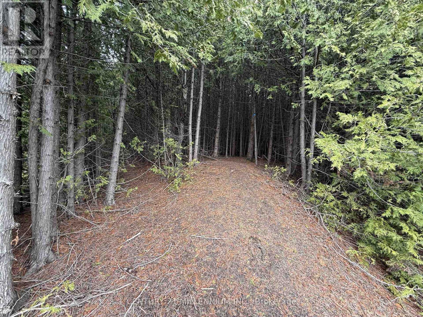 713467 1st Line Ehs Line, Mono, Ontario  L9W 5T3 - Photo 24 - X12973874