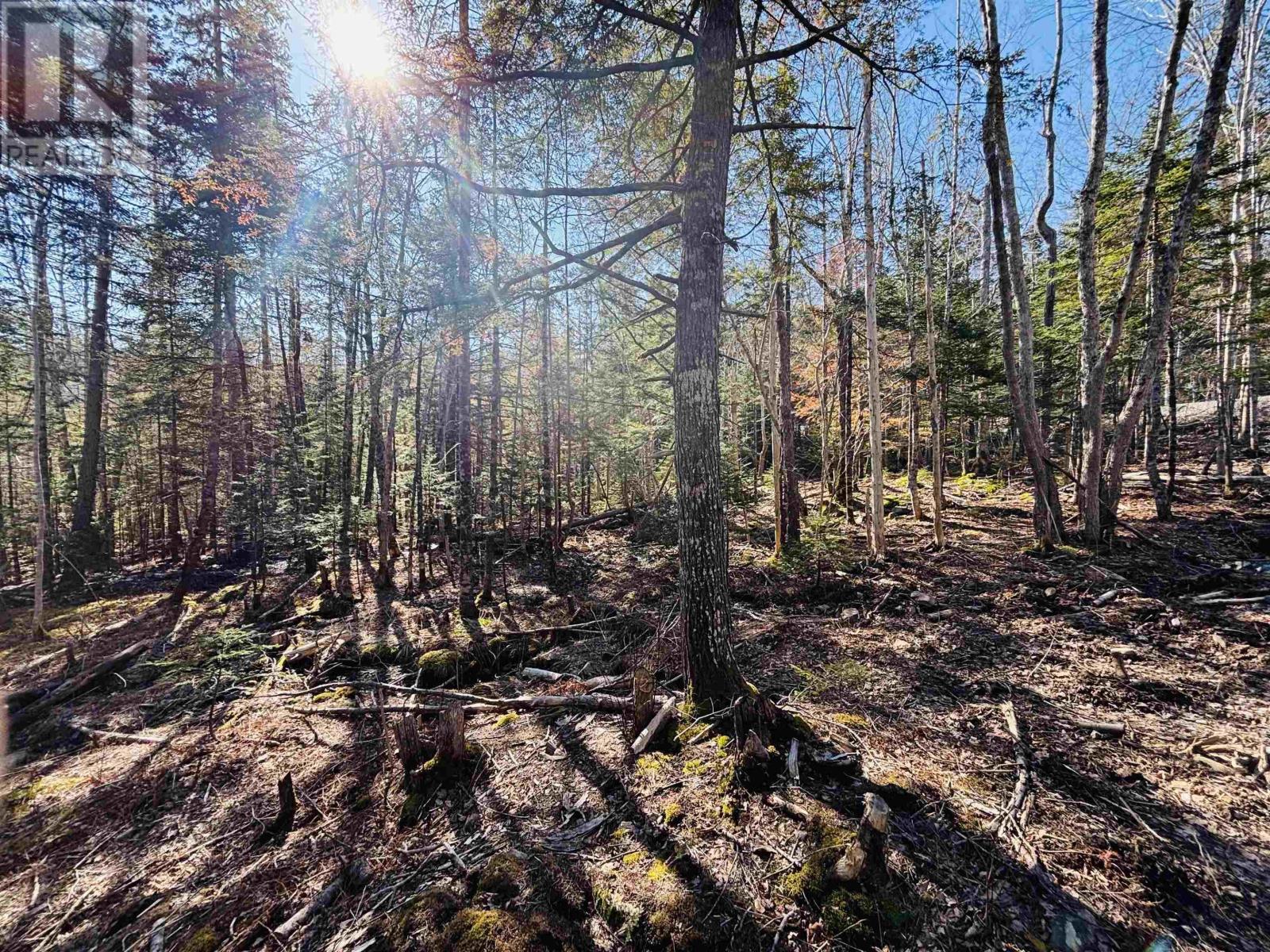 Lot 2 Oldham Road, Enfield, Nova Scotia  B2T 1E2 - Photo 10 - 202603845