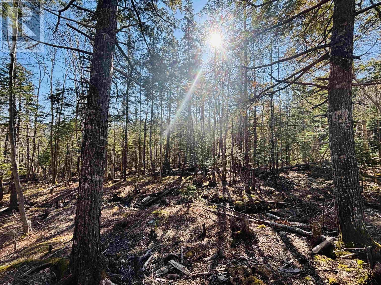 Lot 2 Oldham Road, Enfield, Nova Scotia  B2T 1E2 - Photo 7 - 202603845