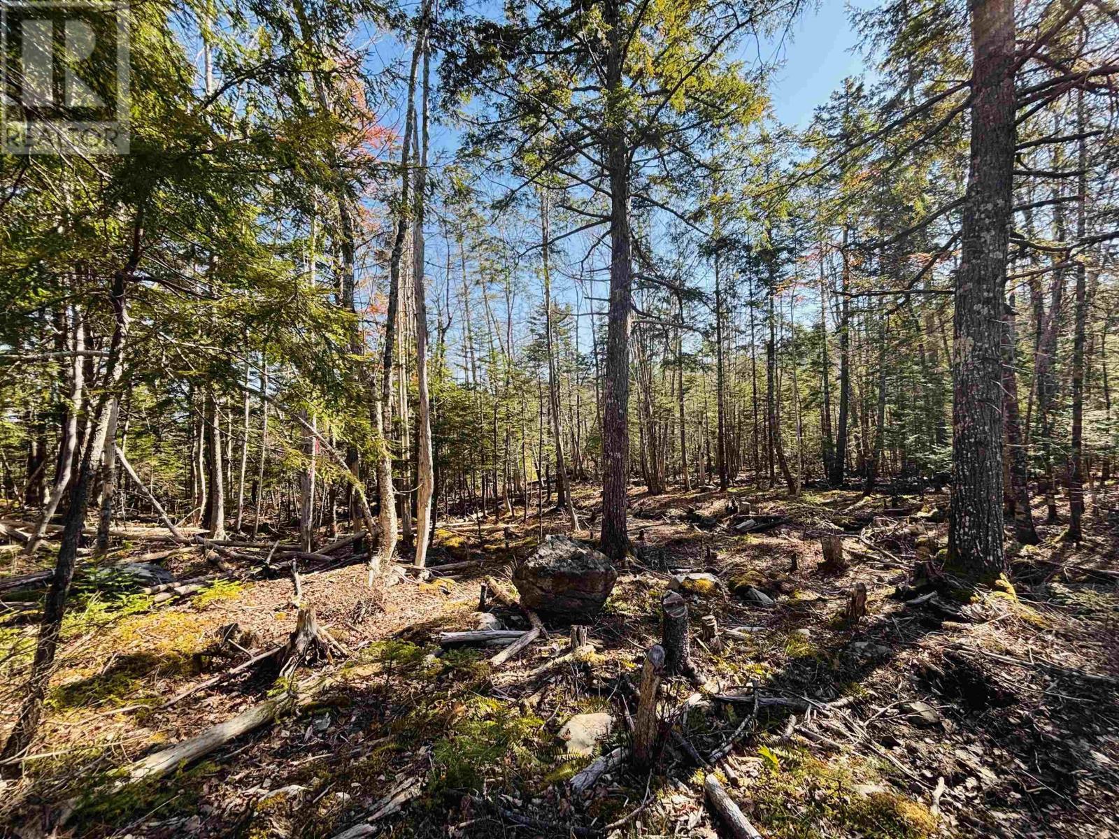 Lot 2 Oldham Road, Enfield, Nova Scotia  B2T 1E2 - Photo 11 - 202603845