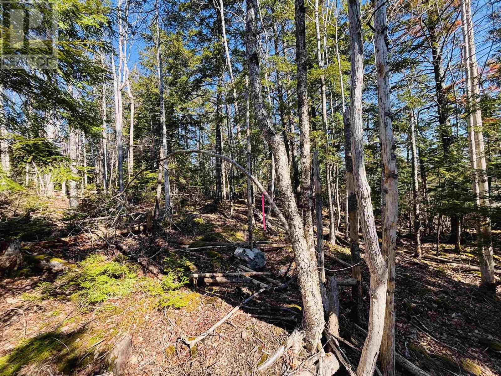 Lot 2 Oldham Road, Enfield, Nova Scotia  B2T 1E2 - Photo 9 - 202603845