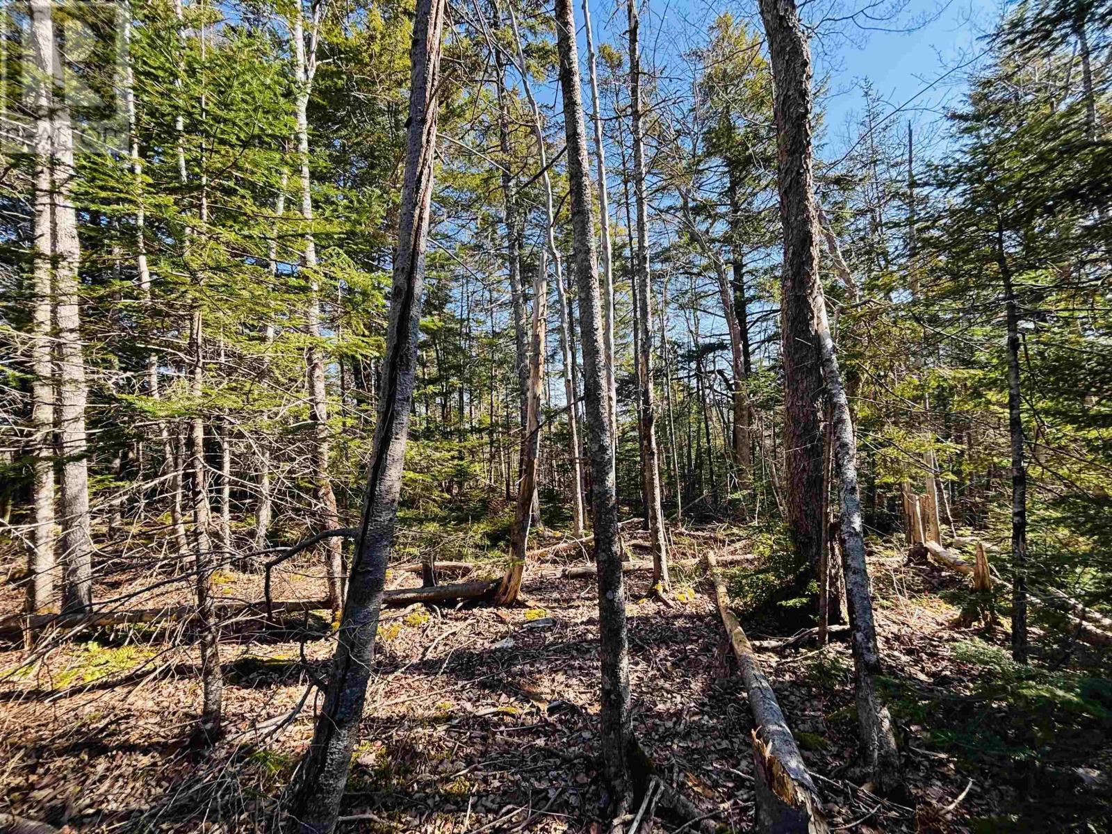 Lot 1 Oldham Road, Enfield, Nova Scotia  B2T 1E2 - Photo 3 - 202603846