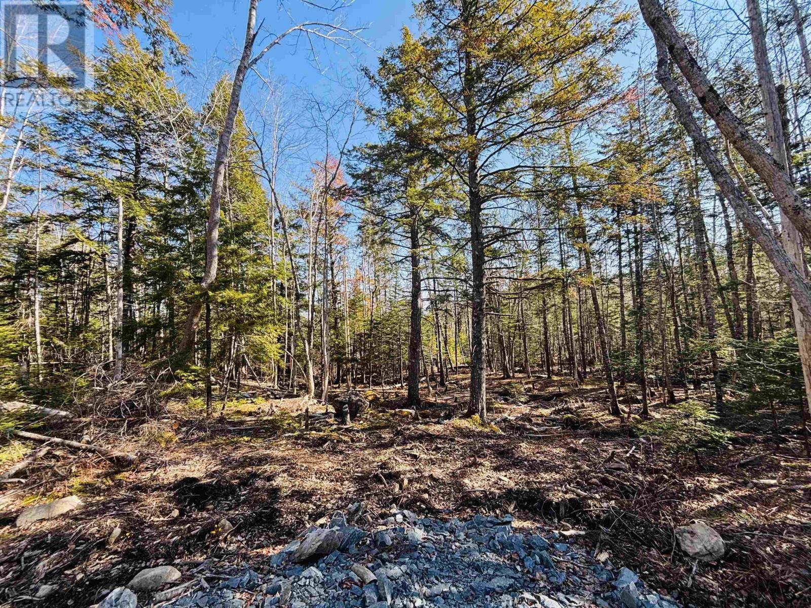 Lot 2 Oldham Road, Enfield, Nova Scotia  B2T 1E2 - Photo 6 - 202603845