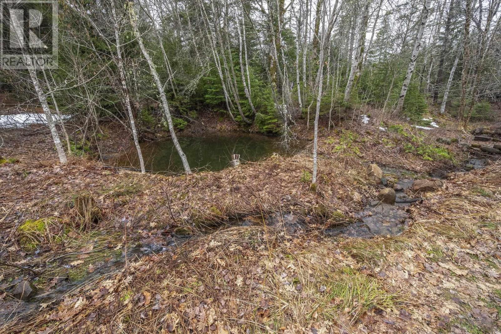 882 Warwick Mountain Road, Warwick Mountain, Nova Scotia  B0K 1V0 - Photo 47 - 202608116