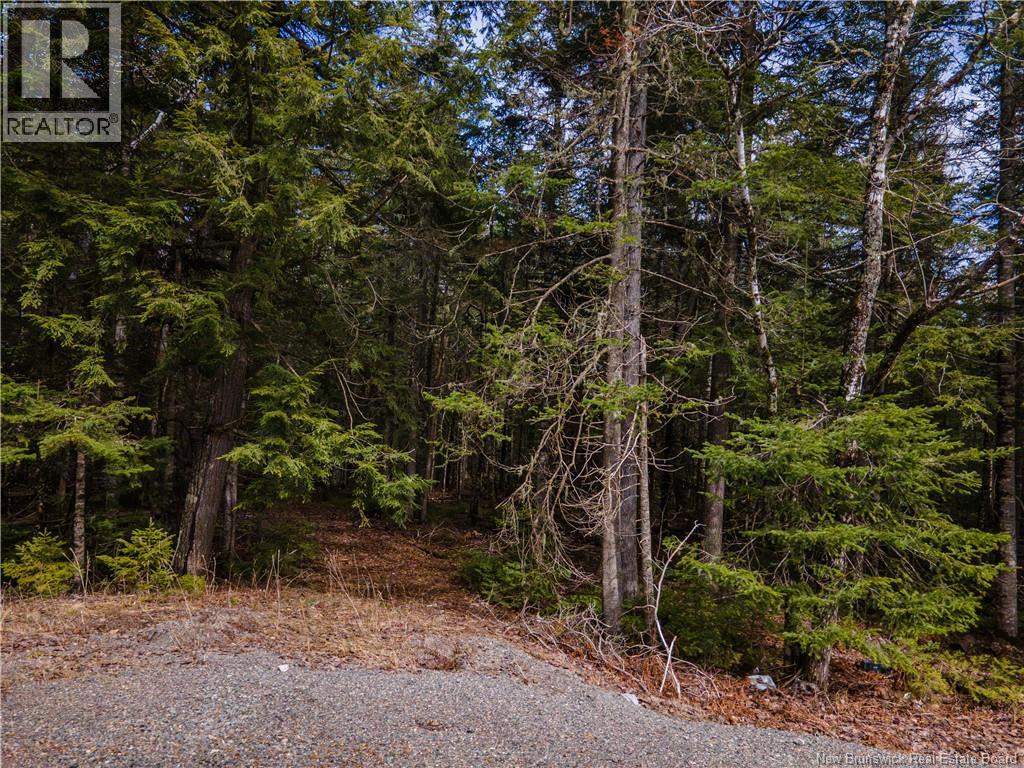 Lot 25-3 Buckley Settlement Road, Anagance, New Brunswick  E4Z 1B9 - Photo 10 - NB137581