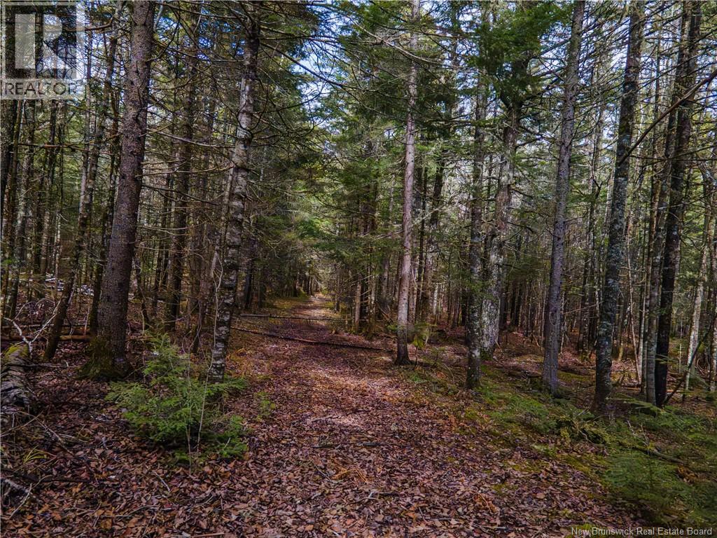 Lot 25-3 Buckley Settlement Road, Anagance, New Brunswick  E4Z 1B9 - Photo 13 - NB137581