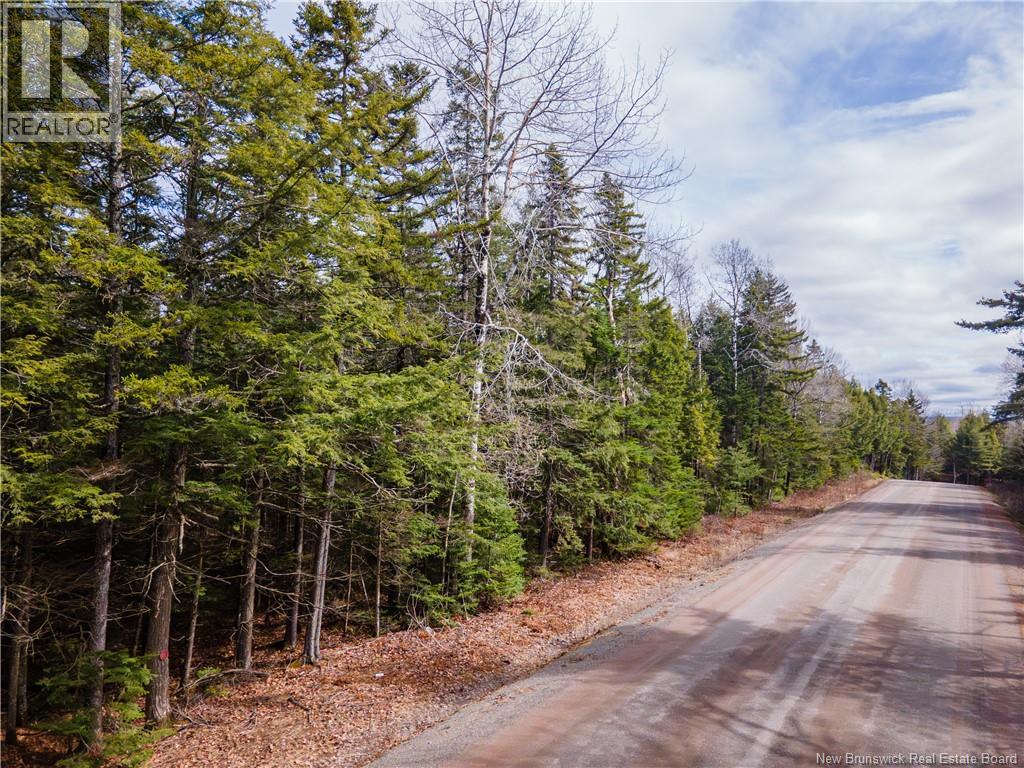 Lot 25-3 Buckley Settlement Road, Anagance, New Brunswick  E4Z 1B9 - Photo 5 - NB137581