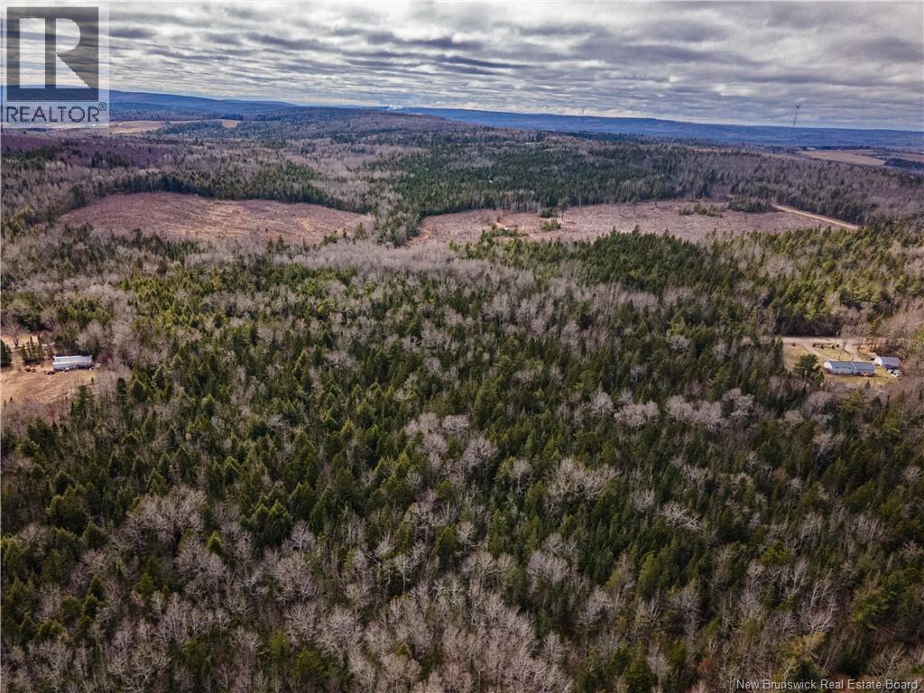 Lot 25-3 Buckley Settlement Road, Anagance, New Brunswick  E4Z 1B9 - Photo 6 - NB137581