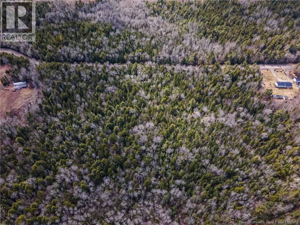 Lot 25-3 Buckley Settlement Road, Anagance, New Brunswick  E4Z 1B9 - Photo 7 - NB137581