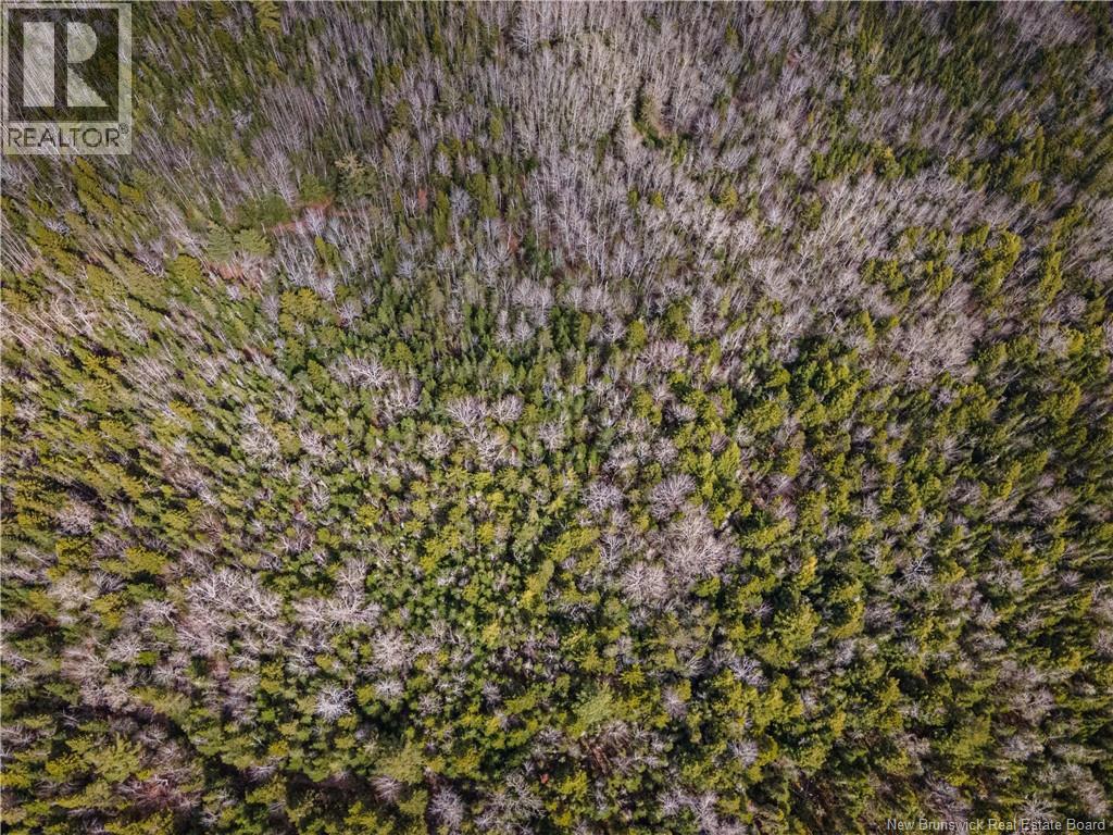 Lot 25-3 Buckley Settlement Road, Anagance, New Brunswick  E4Z 1B9 - Photo 8 - NB137581