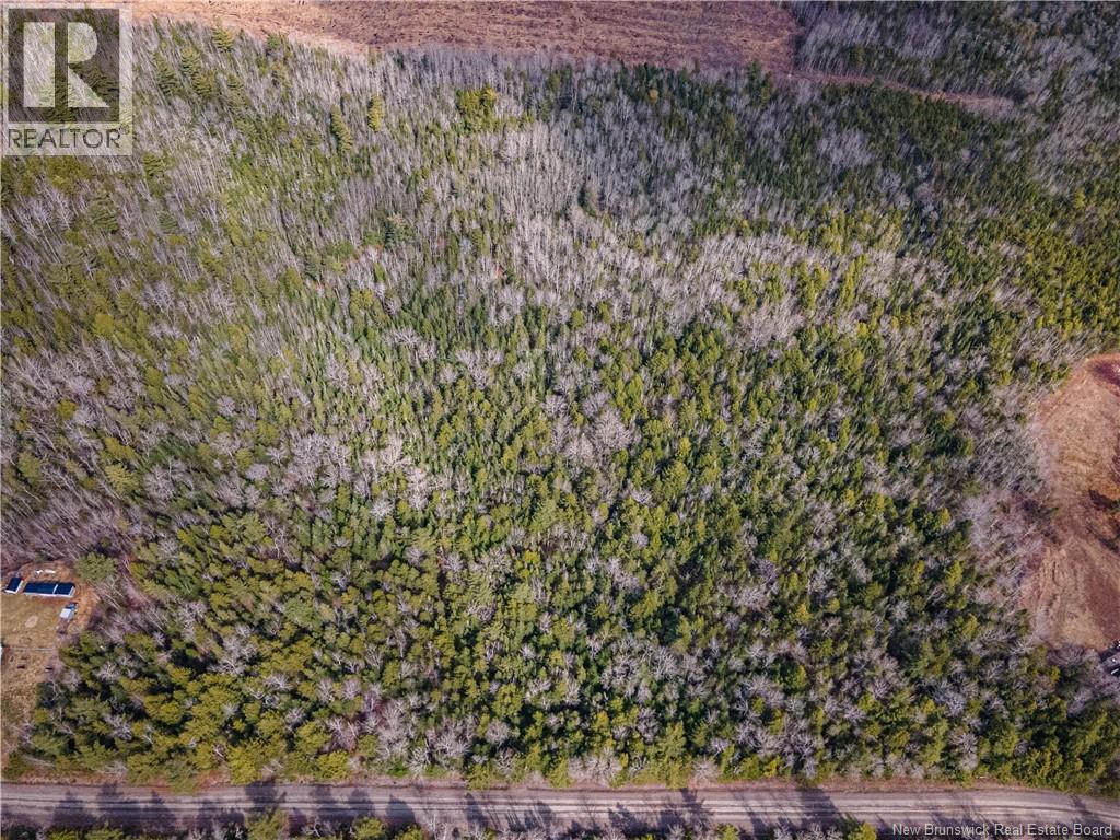 Lot 25-3 Buckley Settlement Road, Anagance, New Brunswick  E4Z 1B9 - Photo 9 - NB137581