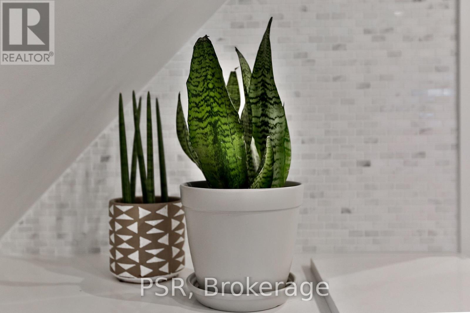 Upper - 264 Dovercourt Road, Toronto, Ontario  M6J 3E1 - Photo 14 - C12815908