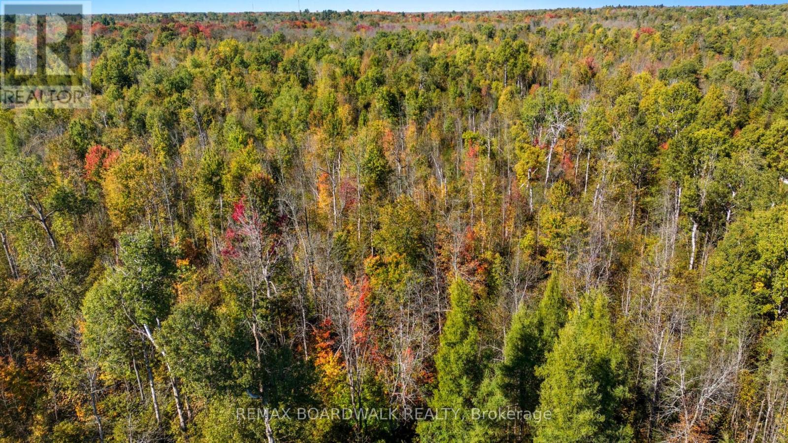 00 Glen Smail Road, Edwardsburgh/cardinal, Ontario  K0E 1X0 - Photo 5 - X12453337