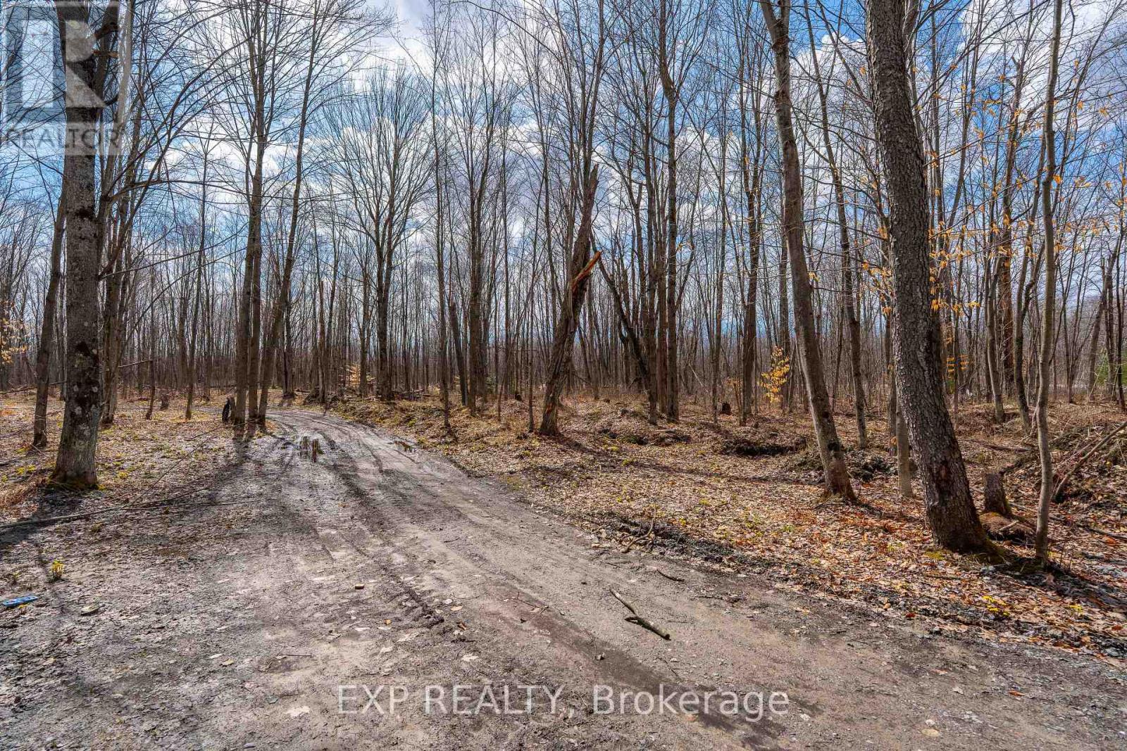 Lot 20 Concession 4 Road, Alfred And Plantagenet, Ontario  K0B 1L0 - Photo 11 - X12813770