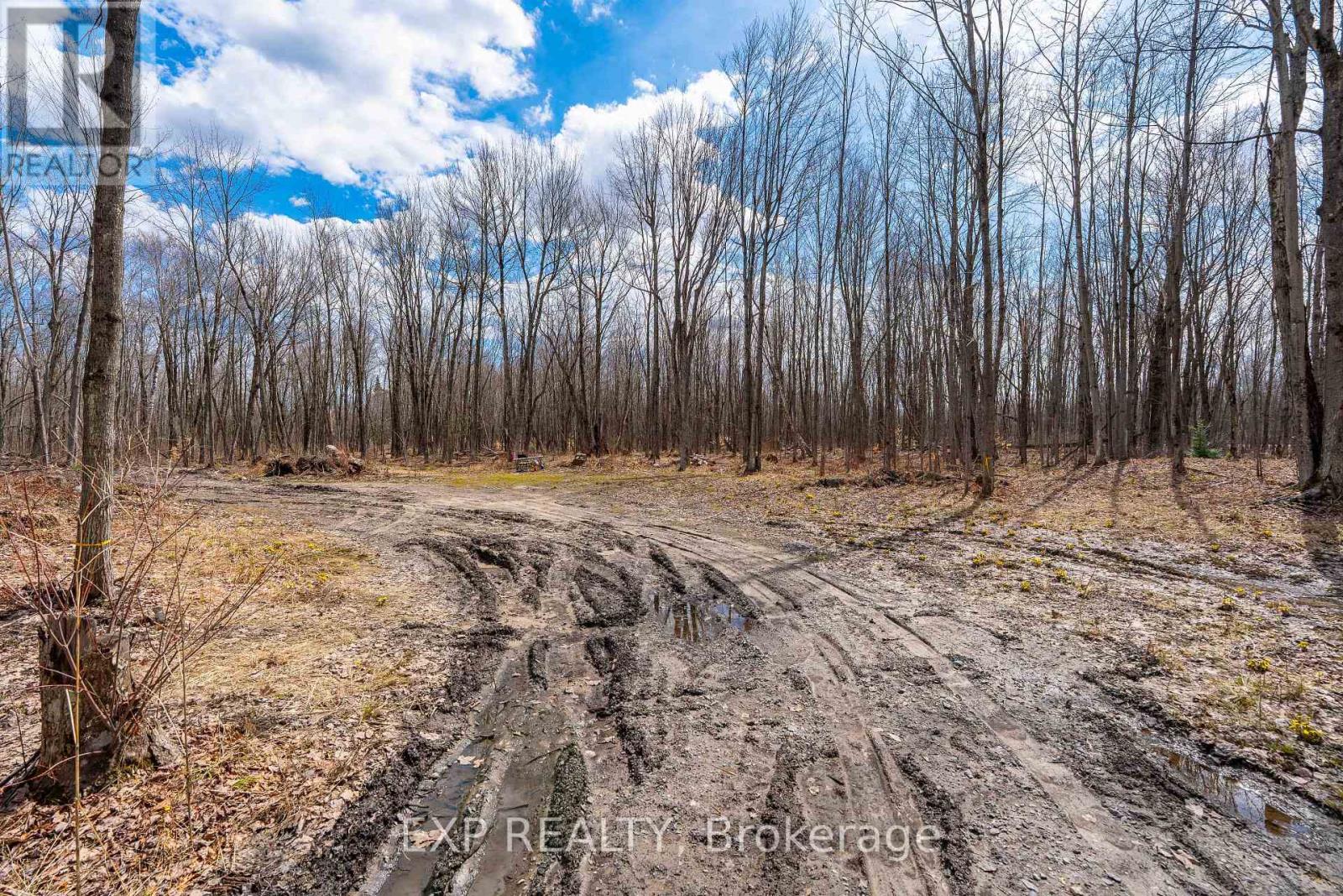 Lot 20 Concession 4 Road, Alfred And Plantagenet, Ontario  K0B 1L0 - Photo 12 - X12813770
