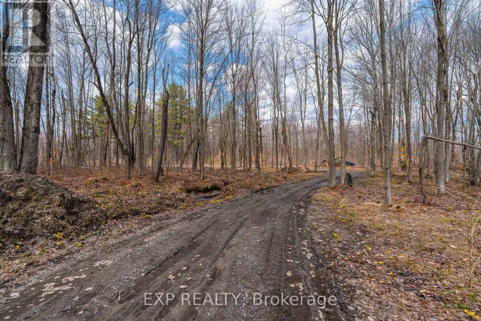 Lot 20 Concession 4 Road, Alfred And Plantagenet, Ontario  K0B 1L0 - Photo 13 - X12813770