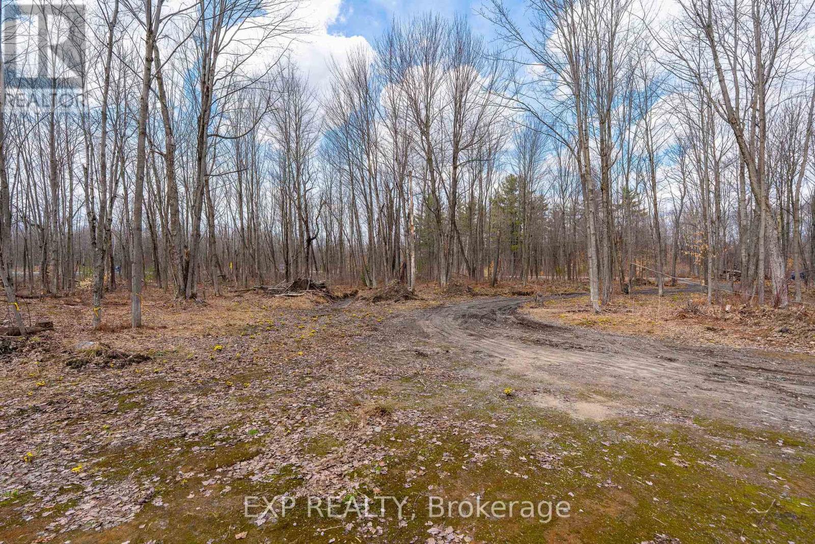 Lot 20 Concession 4 Road, Alfred And Plantagenet, Ontario  K0B 1L0 - Photo 14 - X12813770