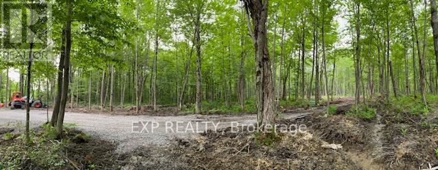 Lot 20 Concession 4 Road, Alfred And Plantagenet, Ontario  K0B 1L0 - Photo 7 - X12813770