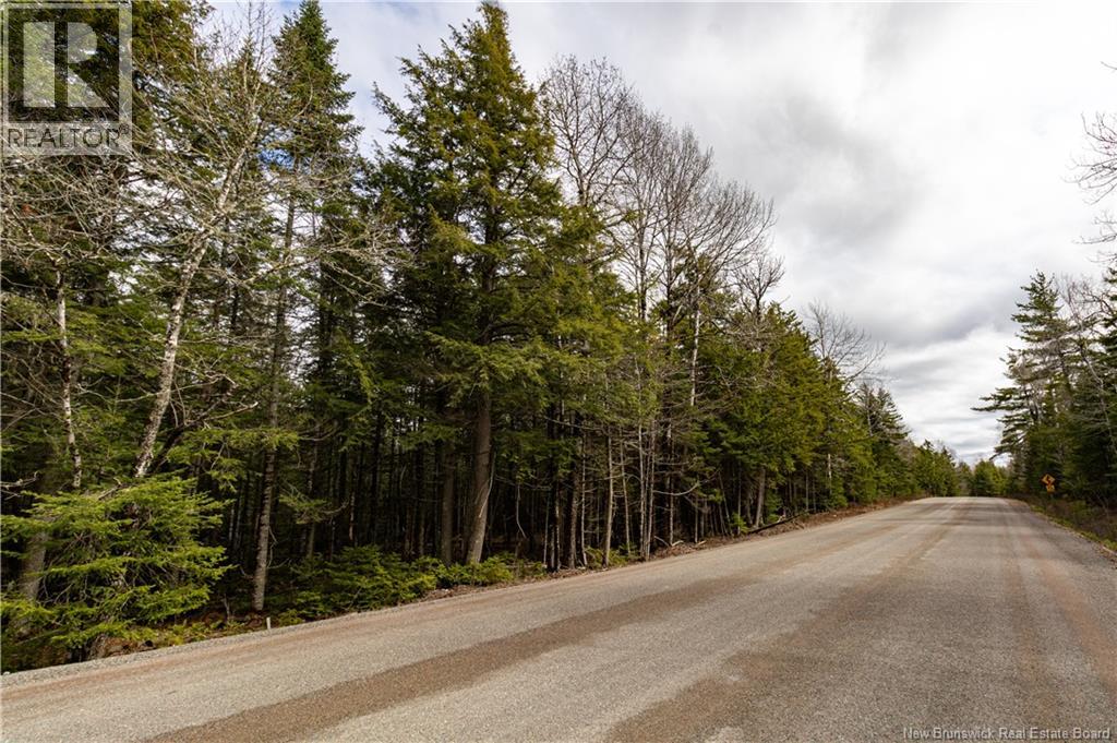 Lot 25-5 Buckley Settlement Road, Anagance, New Brunswick  E4Z 1B9 - Photo 4 - NB137585