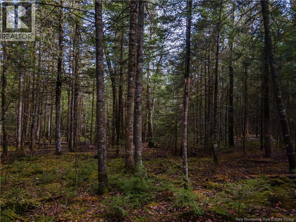 Lot 25-5 Buckley Settlement Road, Anagance, New Brunswick  E4Z 1B9 - Photo 3 - NB137585