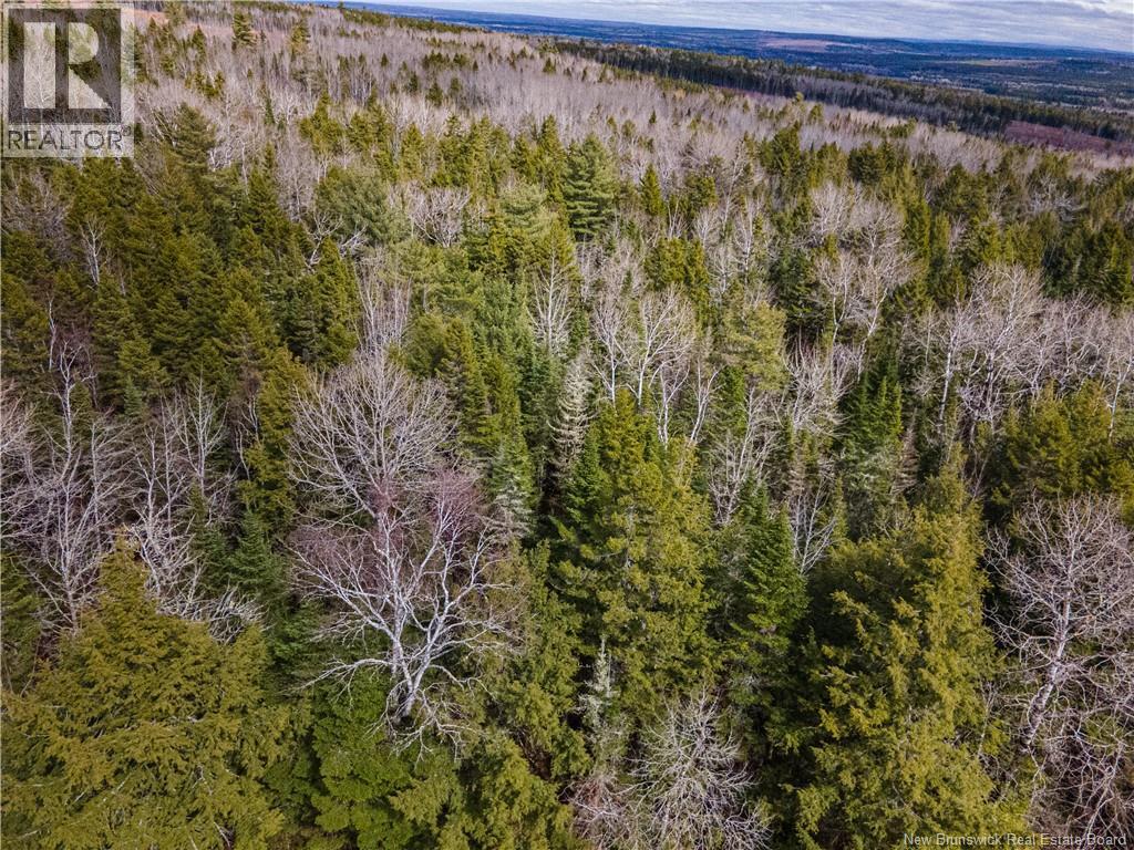 Lot 25-5 Buckley Settlement Road, Anagance, New Brunswick  E4Z 1B9 - Photo 2 - NB137585