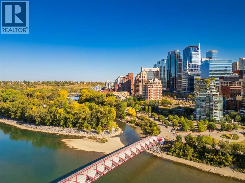 1201, 690 Princeton Way Sw, Calgary, Alberta  T2P 5J9 - Photo 6 - A2262967