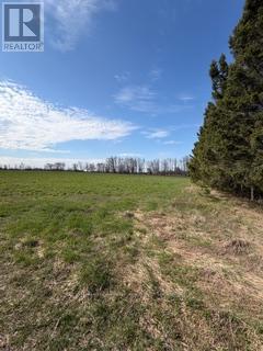 501426 Grey 1 Road, Georgian Bluffs, Ontario  N0H 2T0 - Photo 4 - X13025314