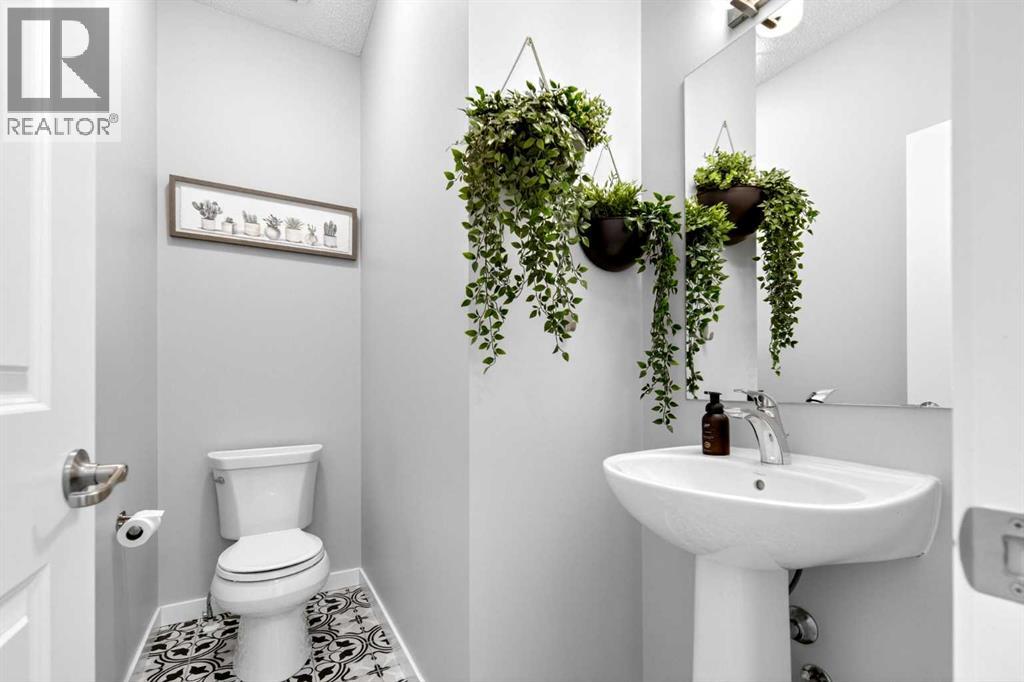 253 Auburn Meadows Boulevard Se, Calgary, Alberta  T3M 2E6 - Photo 19 - A2300086